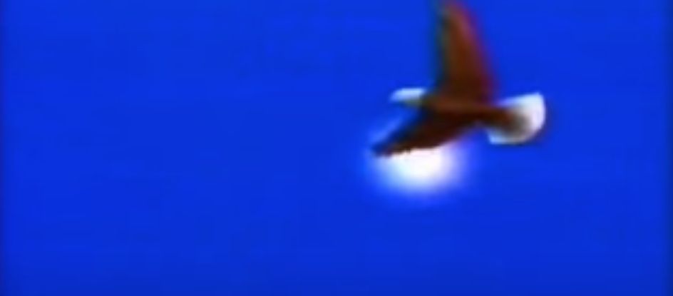 Terranigma