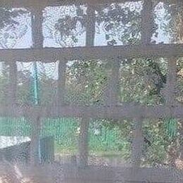 Ксения Чернавина