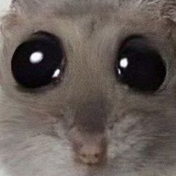 Дмитрий Соснин