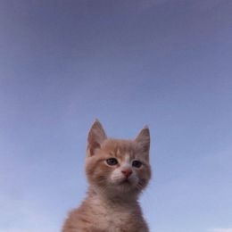 Влад Безносов