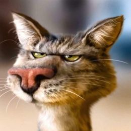 Михаил Толстопузов