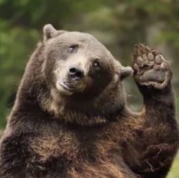 Алексей Воронин