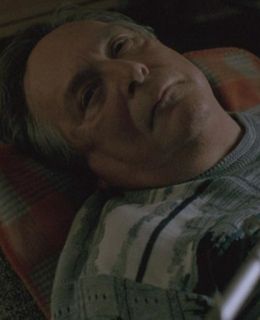 Мишель Дэйгл