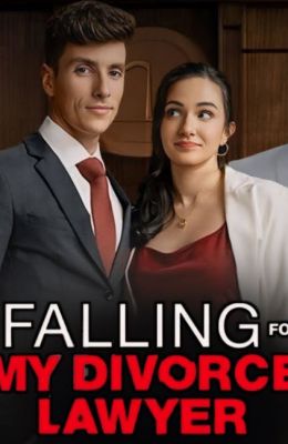 Бракоразводный роман