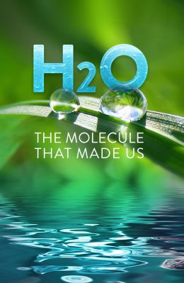 H20: молекула, которая нас создала