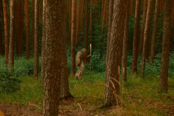15 главных фильмов мая: «Серфер», «Легенды наших предков» и «Зона интересов»