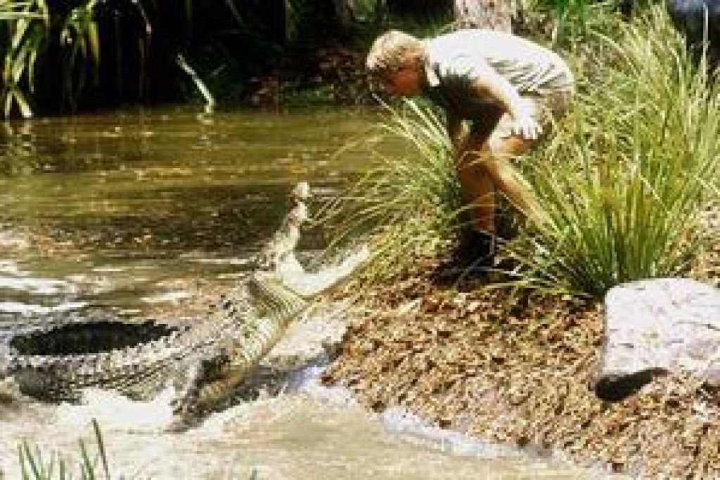 Охотник на крокодилов. Опасный курс