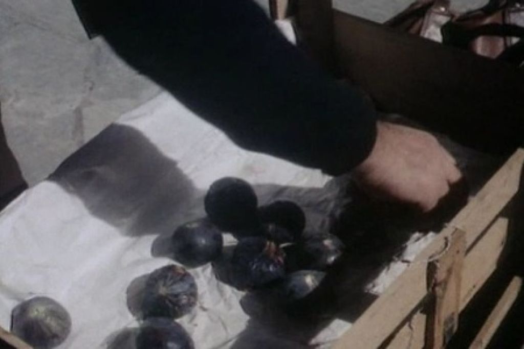 Греческая смоковница (1977) — Фильм.ру