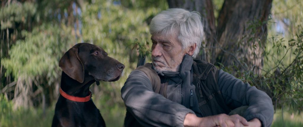 Рецензия на фильм «Ловушка»: всё решают животные