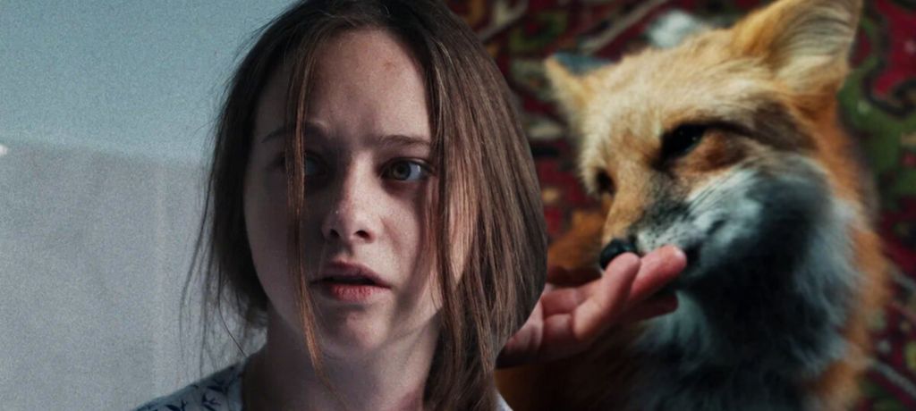 На Okko вышли все серии «Как приручить лису»