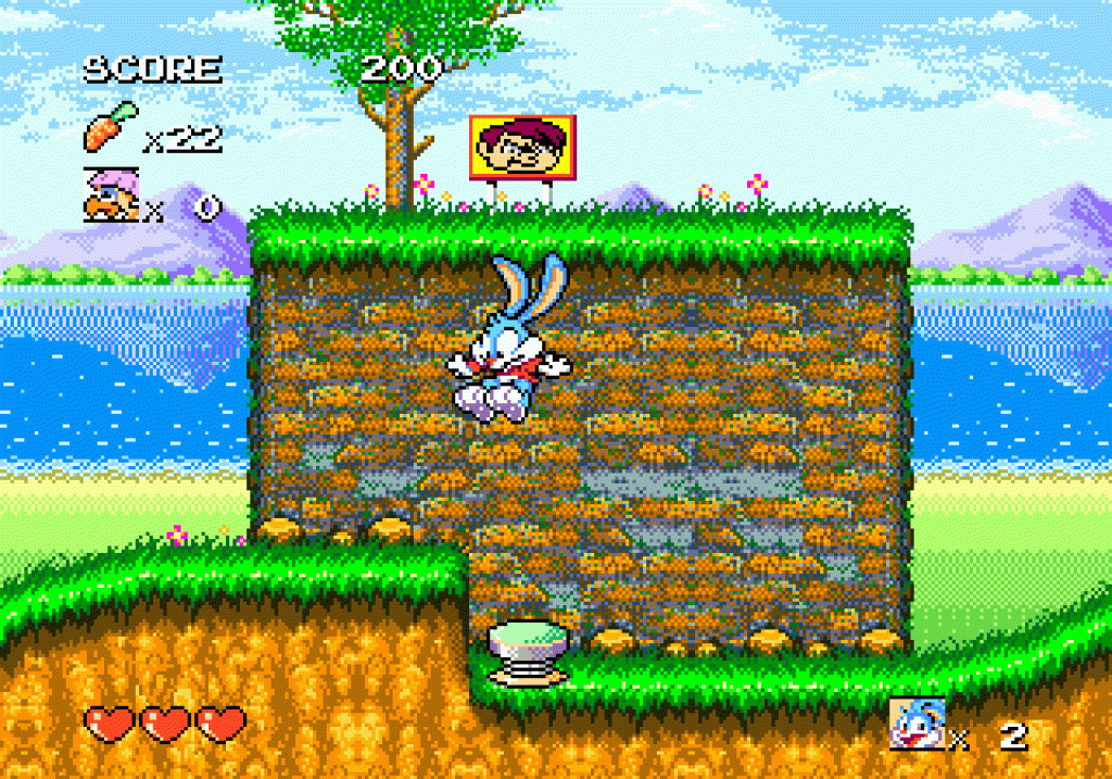 Tiny Toon Adventures: Buster's Hidden Treasure