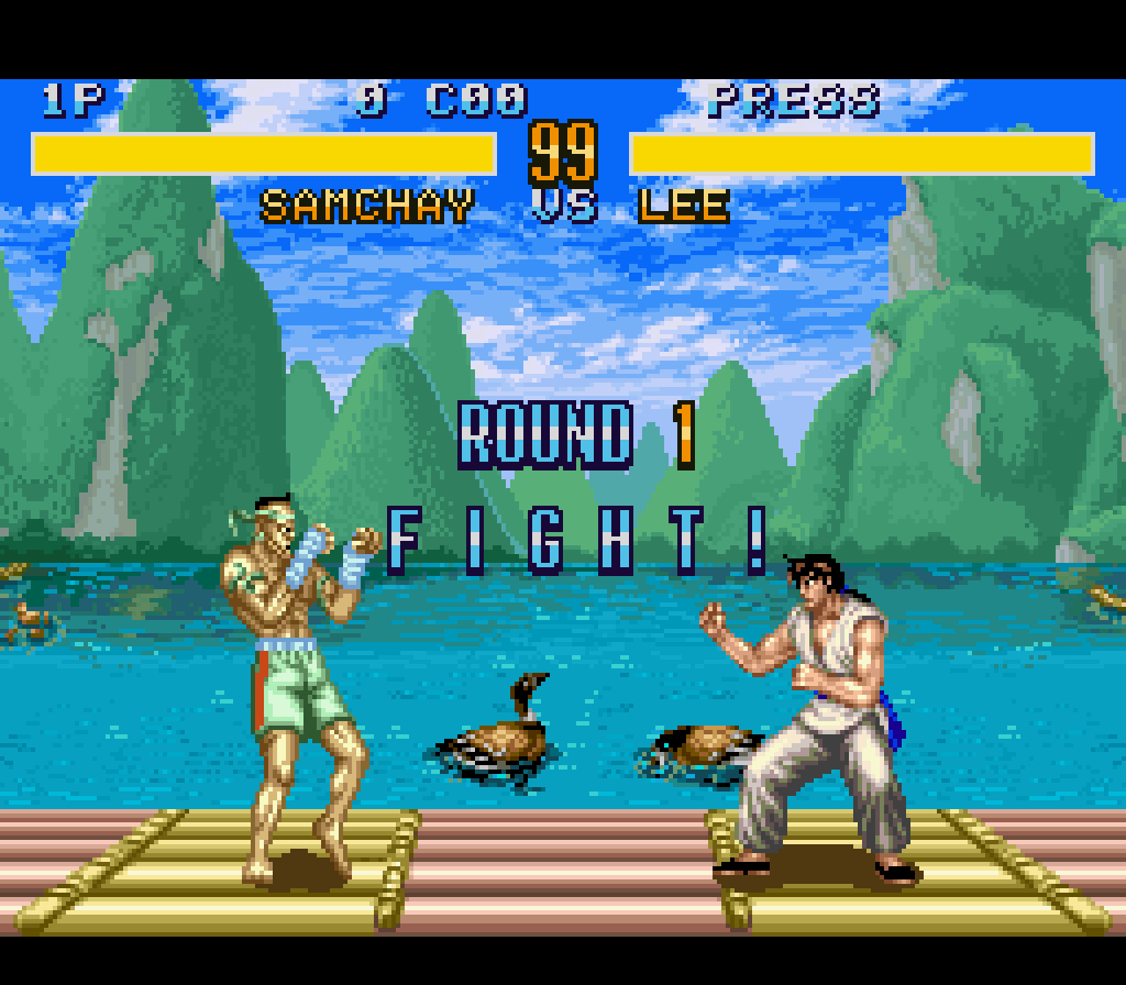 Fighter's History