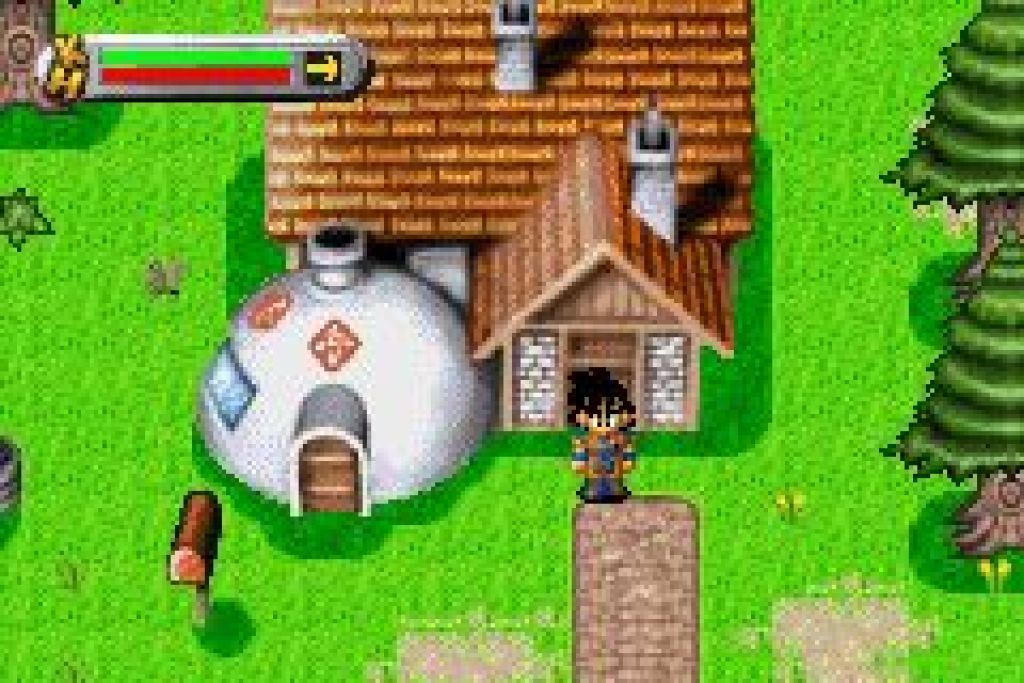 Dragon Ball Z: The Legacy of Goku