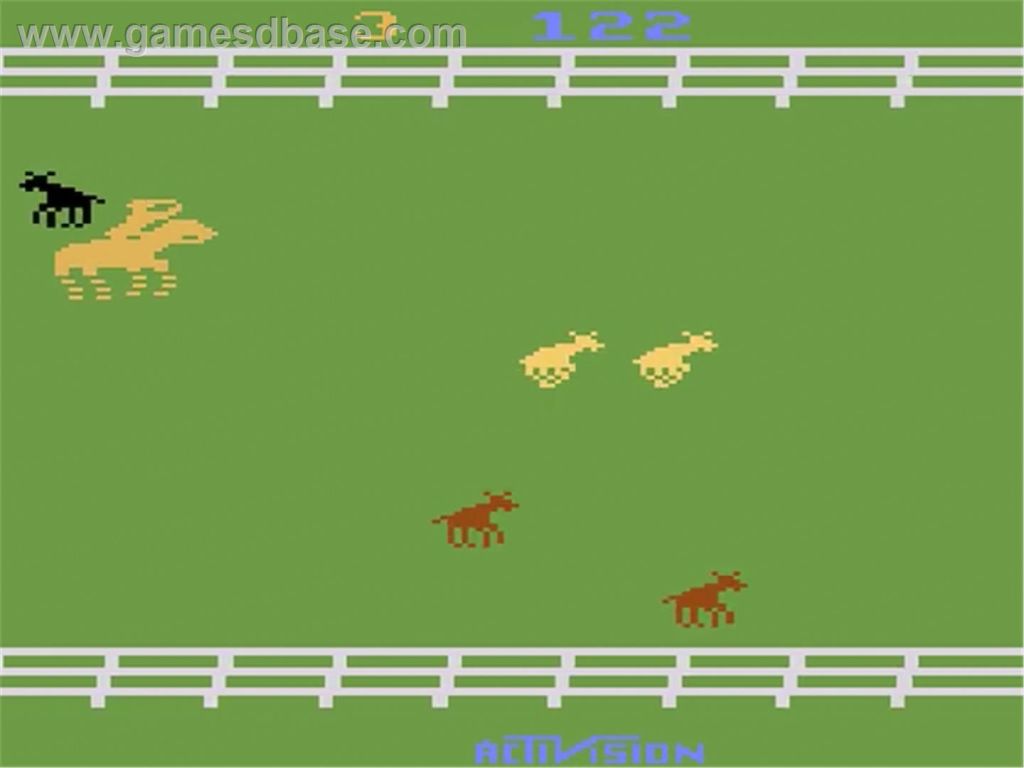 Stampede