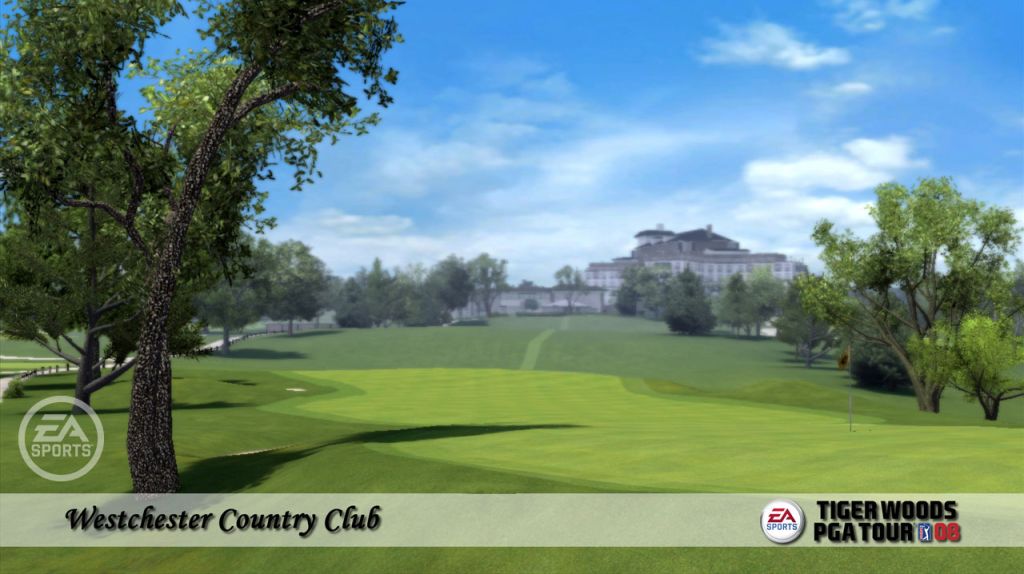 Tiger Woods PGA Tour 08