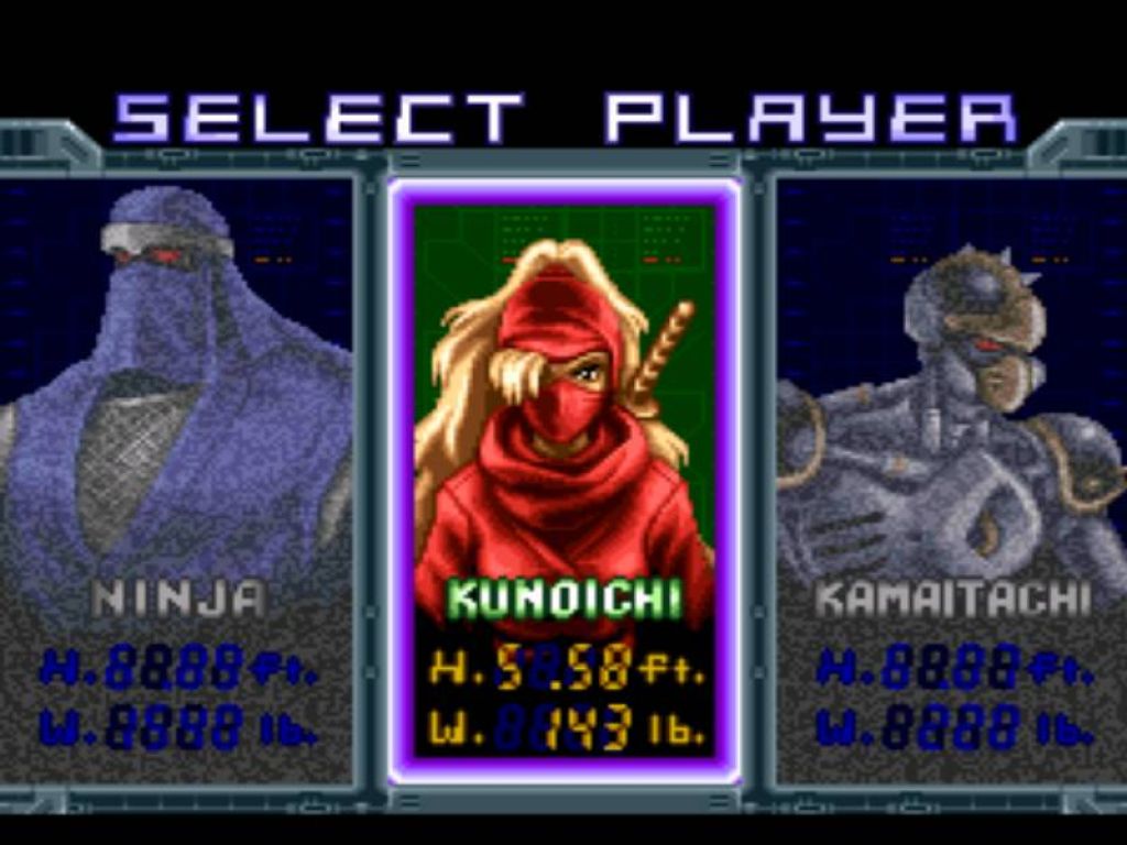 Ninja Warriors