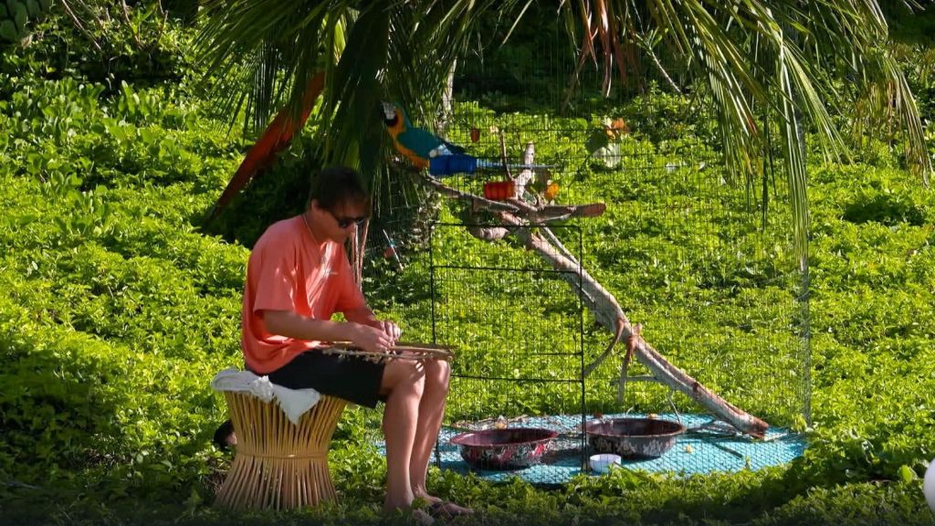 Звезды в джунглях S03 E08