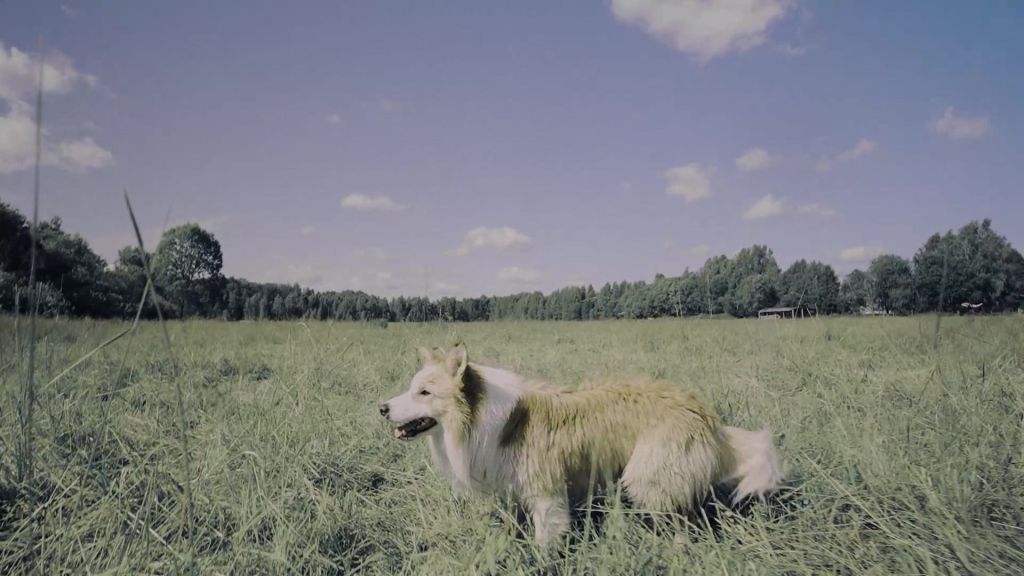 Догументалки S01 E03