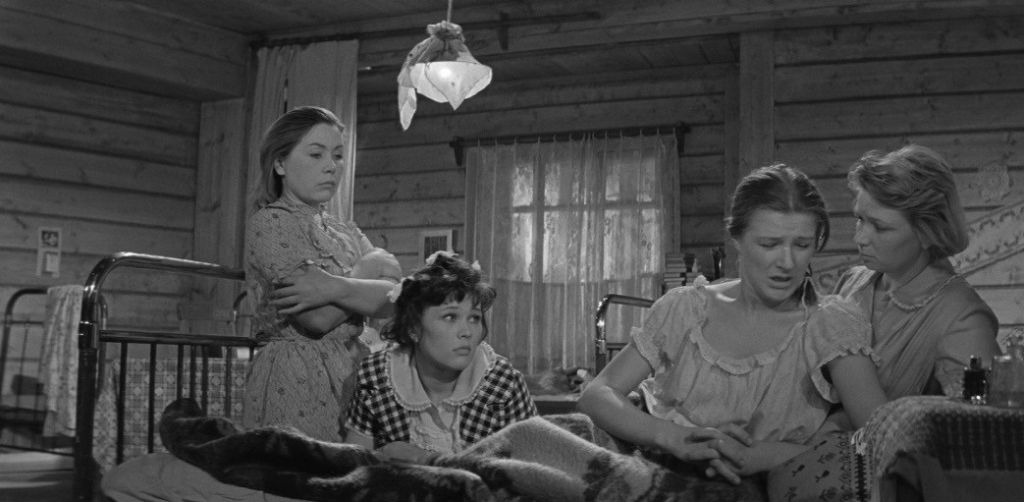Девчата (1962) — Фильм.ру