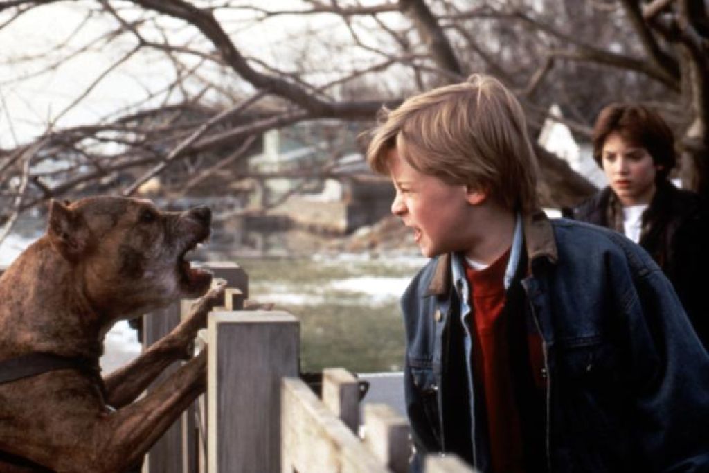 Хороший сын (1993) — Фильм.ру