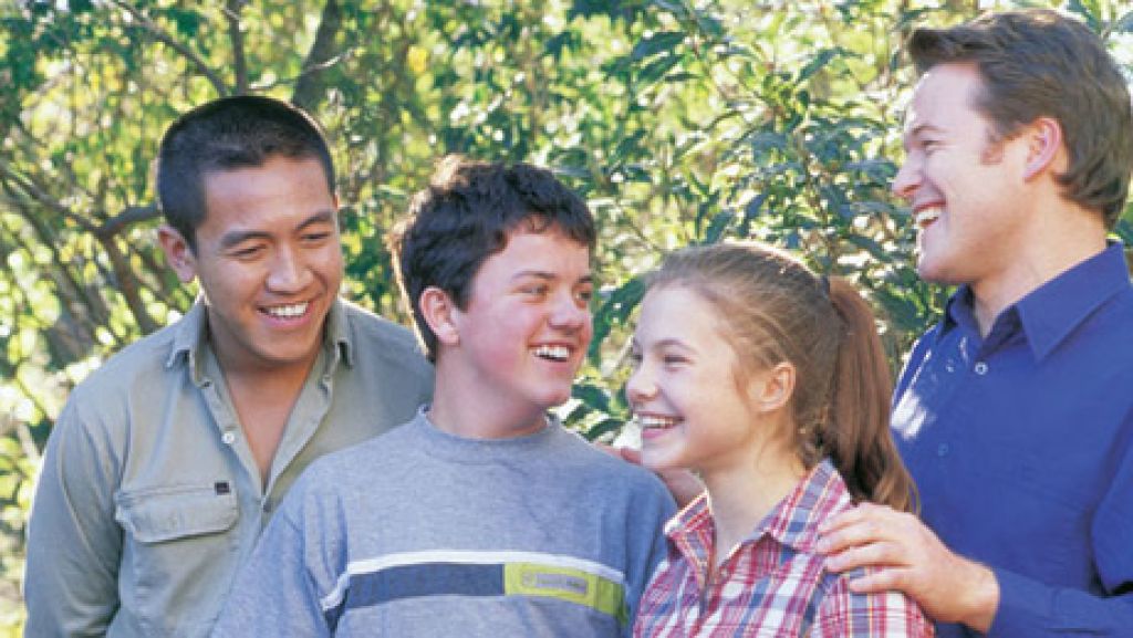 Коалы не виноваты