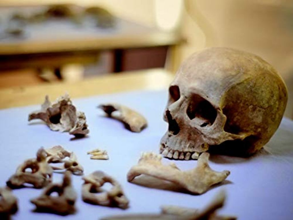 Скелет в шкафу