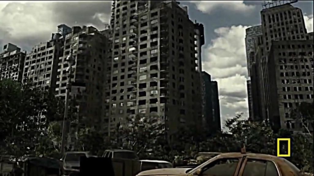 жизнь после людей 2009. будущее планеты жизнь после людей 2008. жизнь после людей фильм. мир без людей документальный. будущее планеты: жизнь после людей фильм 2008.