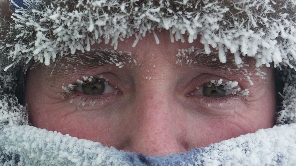 Антарктида: Год на льду