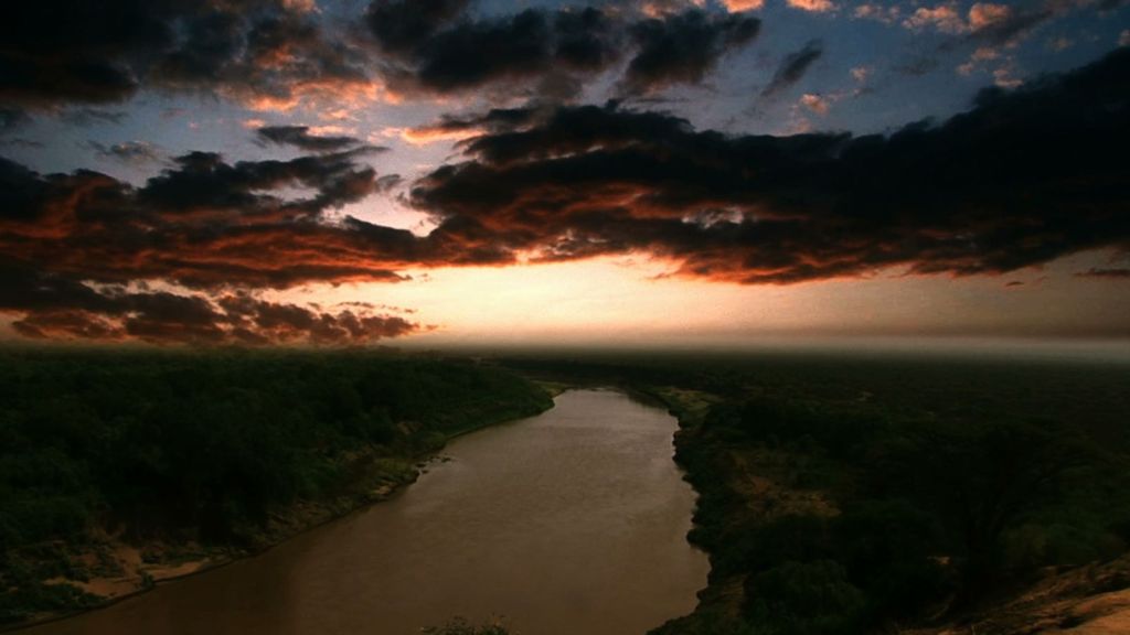 Вытащенный из воды