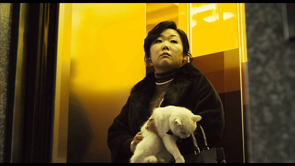 Кот: Глаза, которые видят смерть