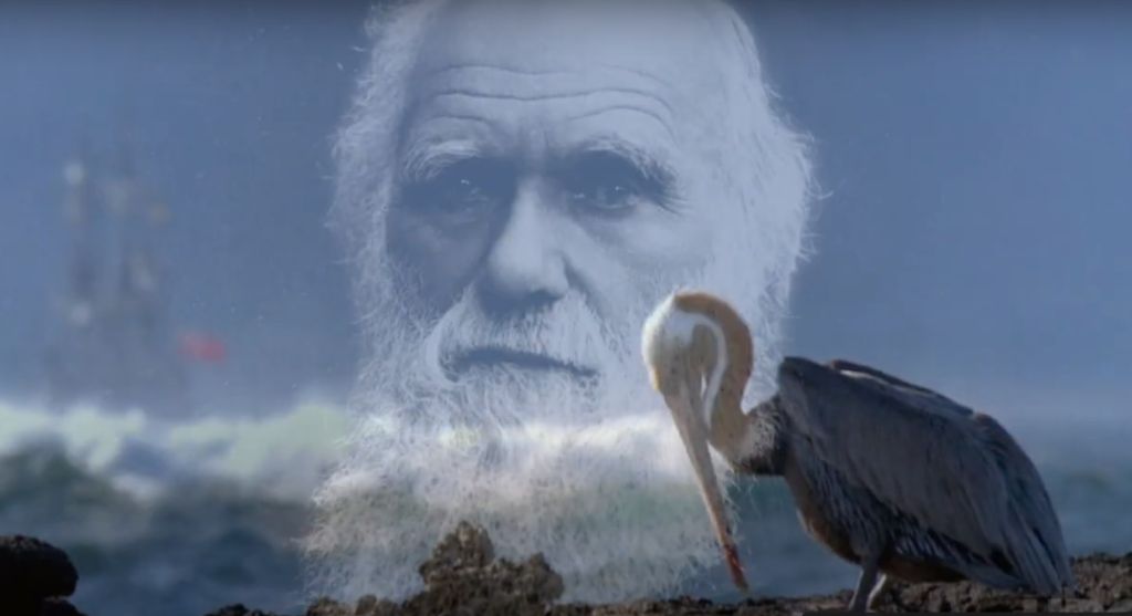 Кадр