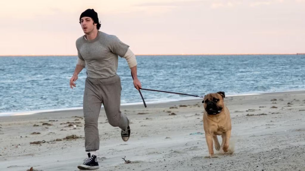 Рокки — это я