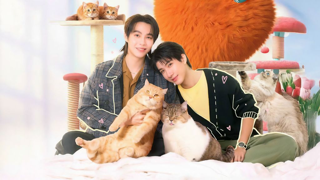 Кот за наличные