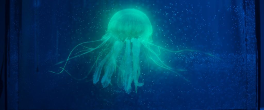 Северная станция