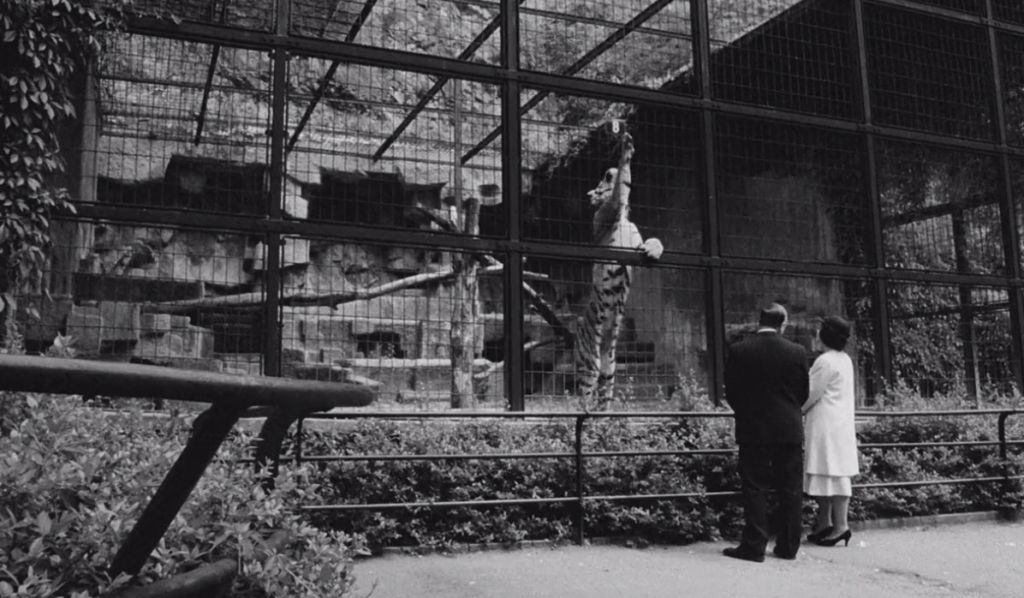 Сжигатель трупов