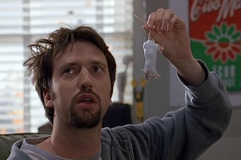 Дорожное приключение (2000) — Фильм.ру