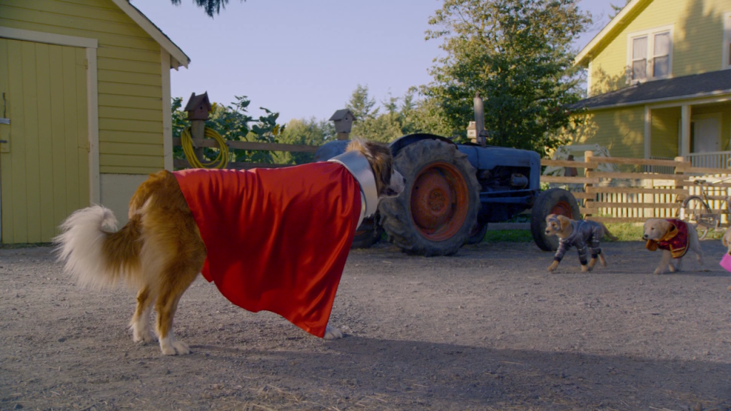 5 собак. 5 собак героев. 5 собак героев. Пятёрка щенков кладоискателей. Роберт винс пятерка супергероев.