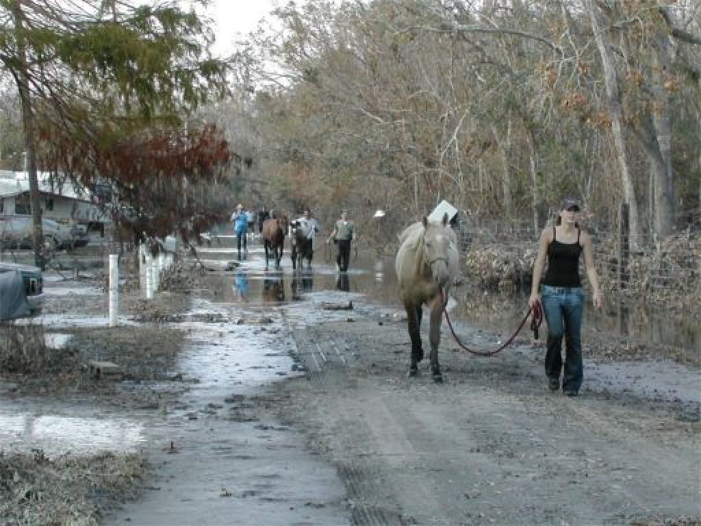 Застряв в Катрине