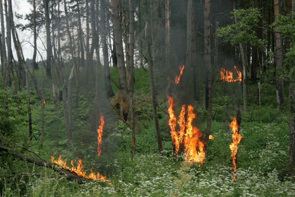 Кадр