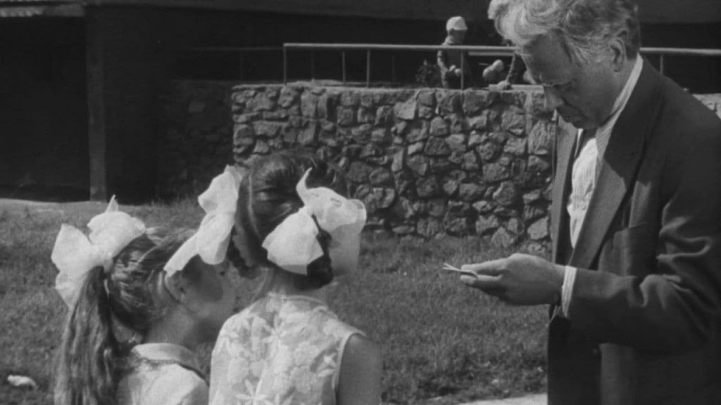 Волчья стая