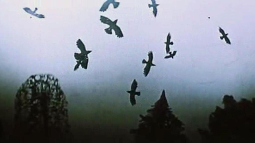 Времена года