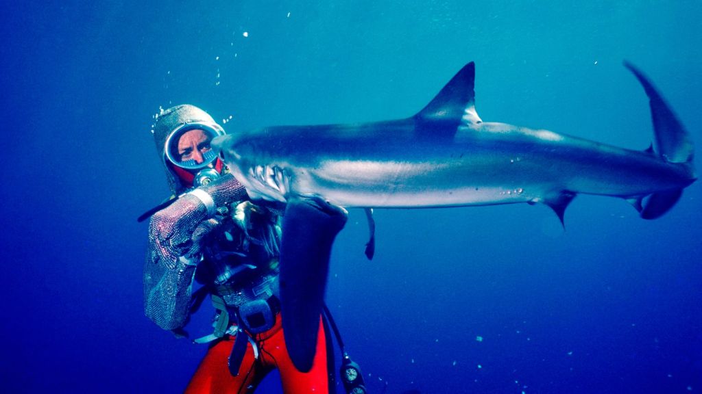 Игры с акулами: История Валери Тейлор