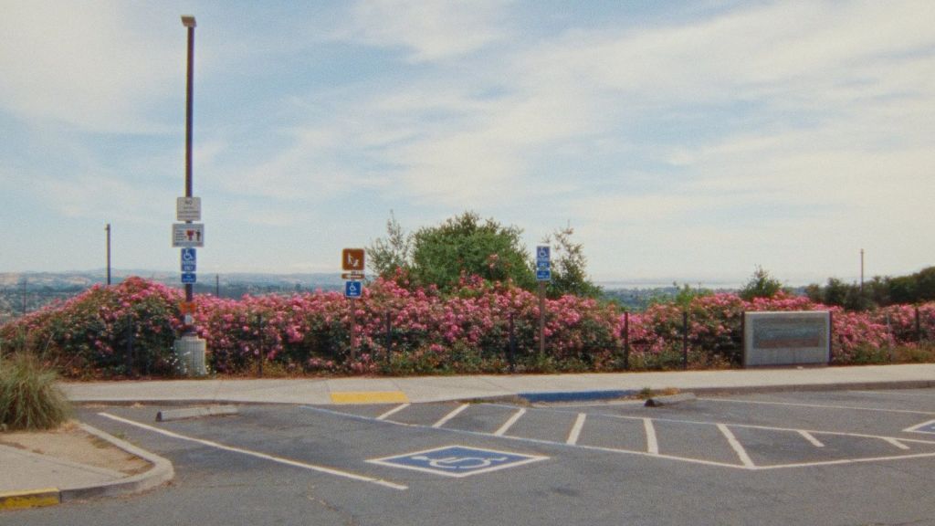 Проект «Убийца Зодиак»