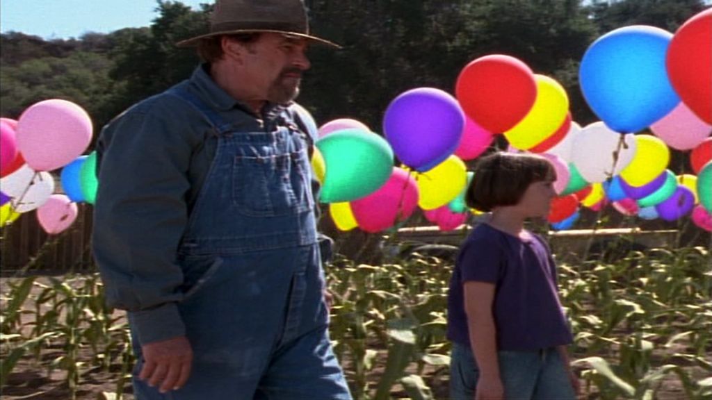 Ферма воздушных шариков