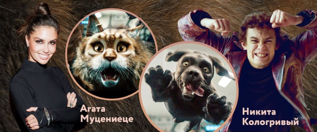 Кот и пёс (2024)