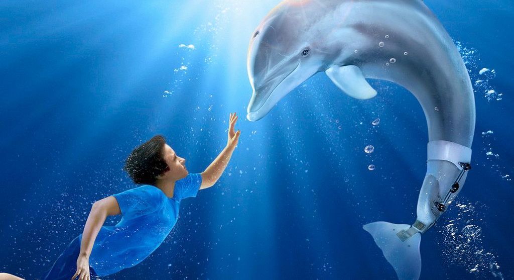 История дельфина (2011) - Всё о фильме, отзывы, рецензии - смотреть видео онлайн на Film.ru