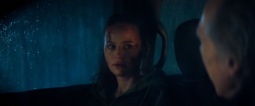 Незнакомцы: Часть третья