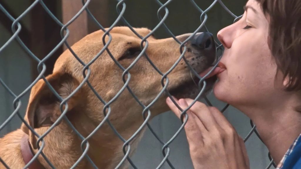 Венди и Люси