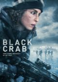 Черный краб