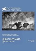 Слоны-призраки